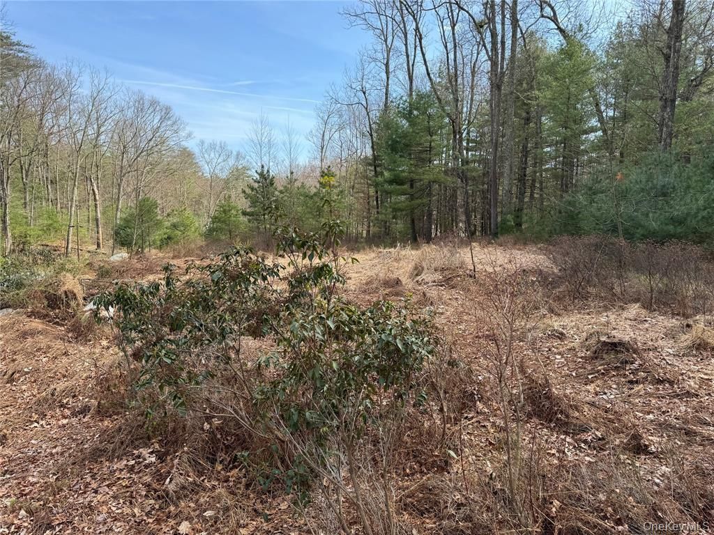 Echo Road, Bloomingburg, NY 12721