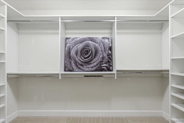 9807 Marmot Ridge Circle, Littleton, CO 80125