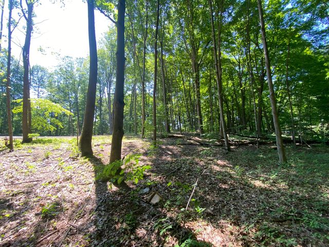 14606 Crest View Court, South Haven Twp, MI 49090