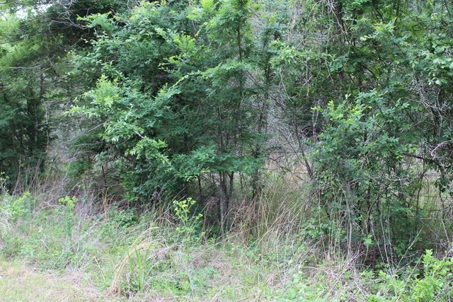 16104 SE County Road 2390, Streetman, TX 75859