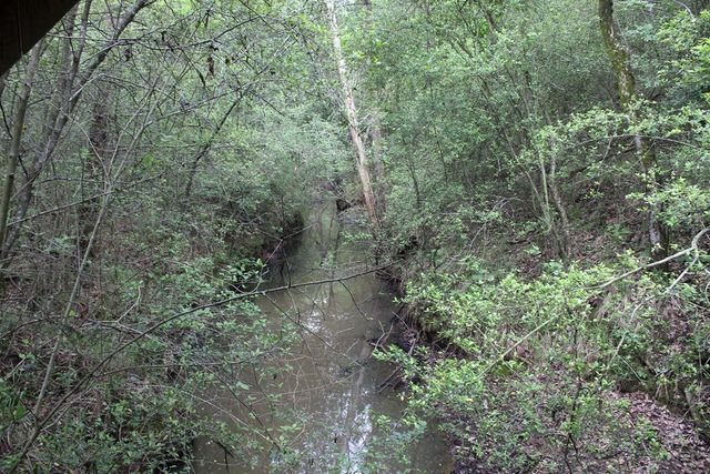 16104 SE County Road 2390, Streetman, TX 75859