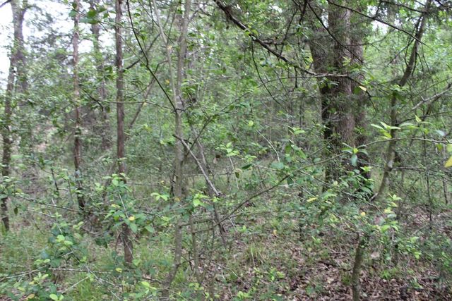 16104 SE County Road 2390, Streetman, TX 75859