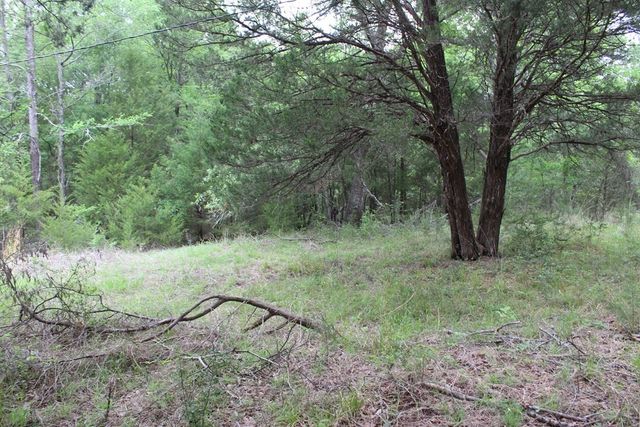 16104 SE County Road 2390, Streetman, TX 75859