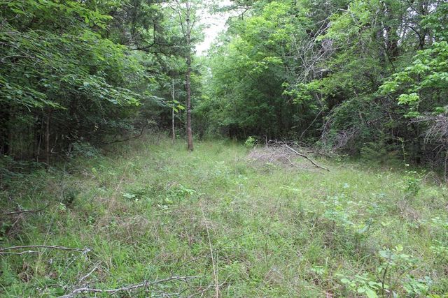 16104 SE County Road 2390, Streetman, TX 75859