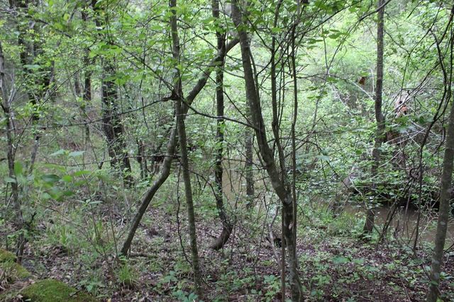 16104 SE County Road 2390, Streetman, TX 75859