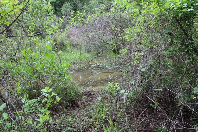 16104 SE County Road 2390, Streetman, TX 75859