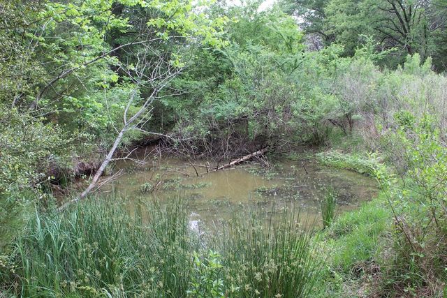 16104 SE County Road 2390, Streetman, TX 75859