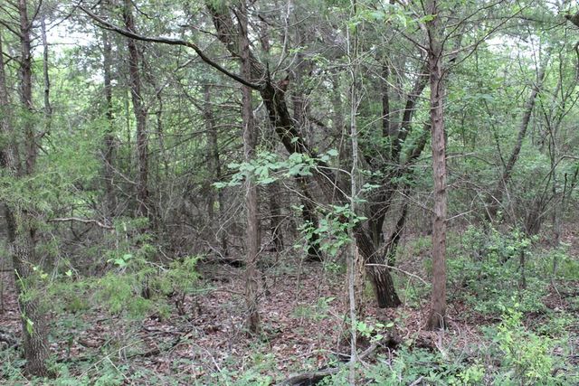 16104 SE County Road 2390, Streetman, TX 75859