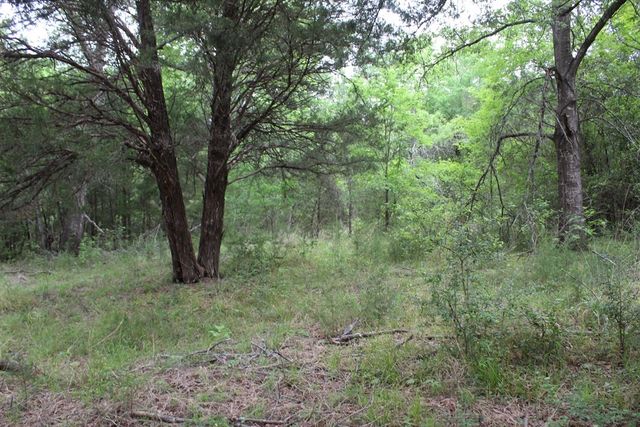 16104 SE County Road 2390, Streetman, TX 75859