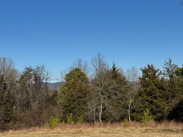 5532 Watt Abbitt Road, Appomattox, VA 24522