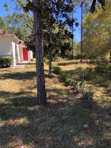 2301 AVELLINO AVENUE, St Cloud, FL 34771