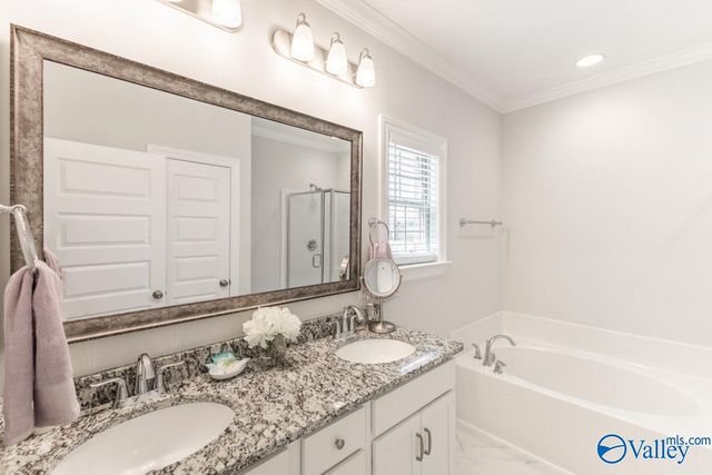 14310 Grey Goose Lane, Harvest, AL 35749