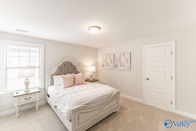 14310 Grey Goose Lane, Harvest, AL 35749