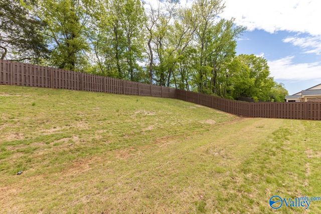 14310 Grey Goose Lane, Harvest, AL 35749