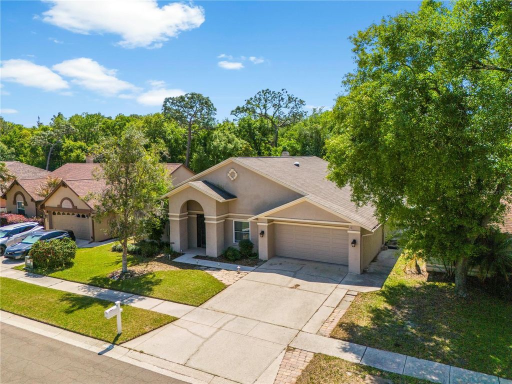 Image 54 of property listing at 9503 PEBBLE GLEN AVENUE, Tampa, FL 33647