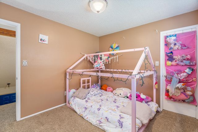 532 Crawford Lane, Palisade, CO 81526