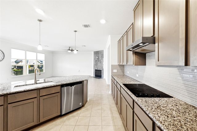 12801 Willowgrove LN, Manor, TX 78653
