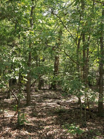 1215 Red Bird Lane, Horseshoe Bend, AR 72512
