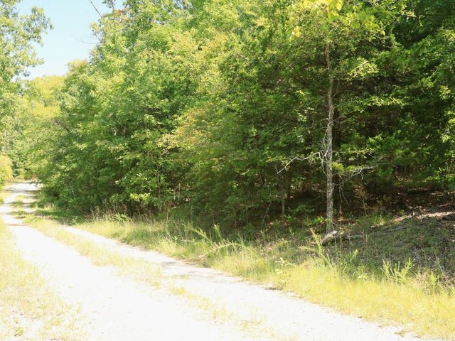1215 Red Bird Lane, Horseshoe Bend, AR 72512