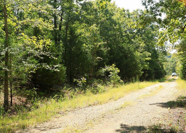 1215 Red Bird Lane, Horseshoe Bend, AR 72512