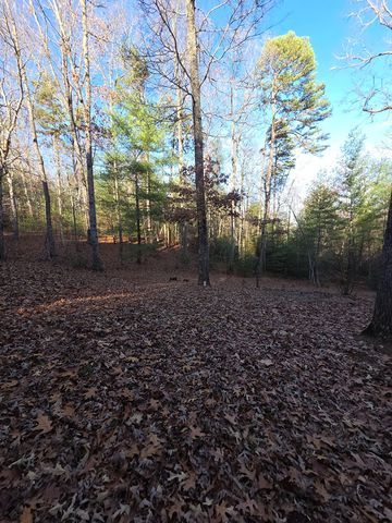 207 Wilderness Way, Blairsville, GA 30512