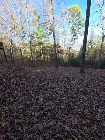 207 Wilderness Way, Blairsville, GA 30512