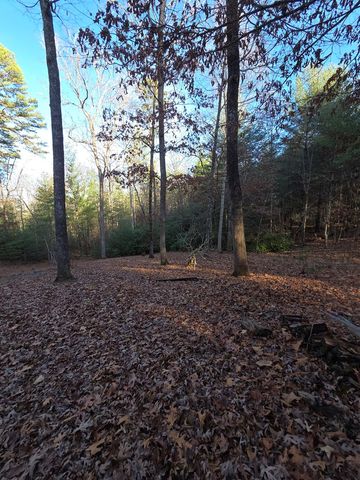 207 Wilderness Way, Blairsville, GA 30512