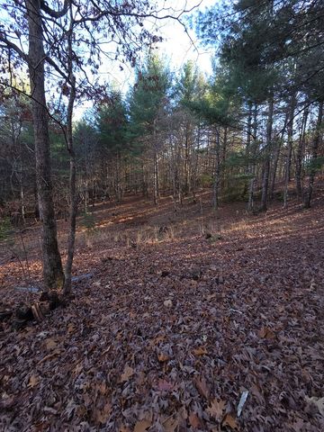 207 Wilderness Way, Blairsville, GA 30512