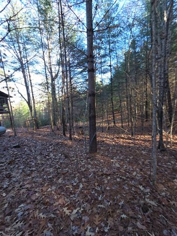 207 Wilderness Way, Blairsville, GA 30512