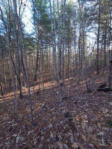 207 Wilderness Way, Blairsville, GA 30512