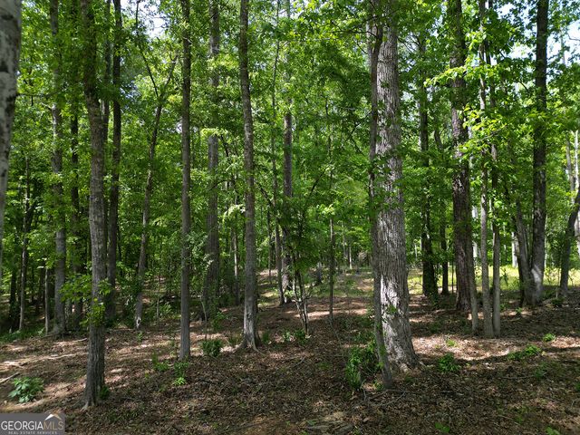 1011 Epple Lane, Chattahoochee Hills, GA 30268