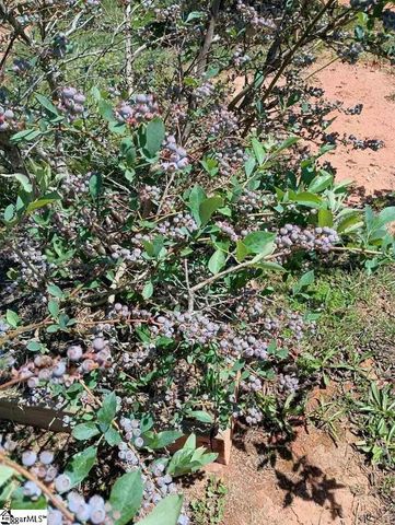 125 Apple Grove Drive, Inman, SC 29349