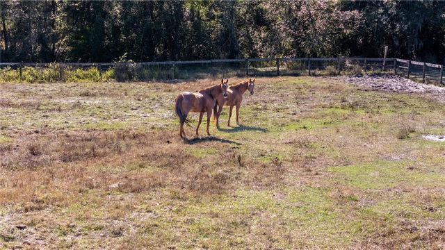 11560 TARPON SPRINGS, Odessa, FL 33556