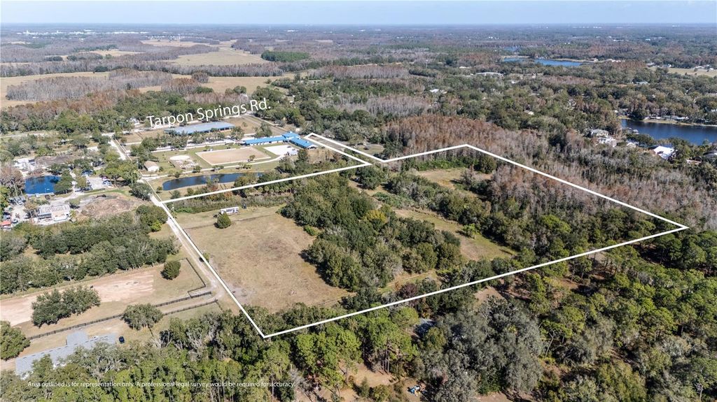 11560 TARPON SPRINGS, Odessa, FL 33556