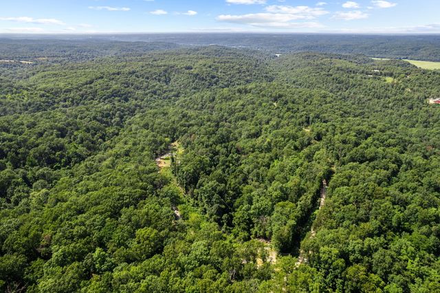 55 Swan Lane, Pineville, MO 64856