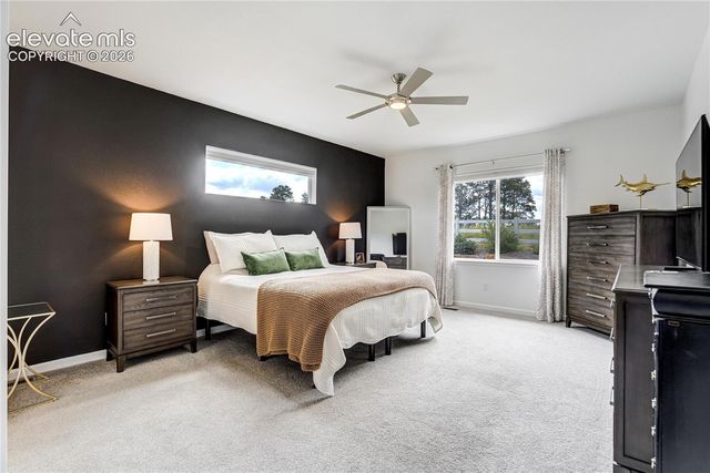 11824 Alydar Loop, Colorado Springs, CO 80921