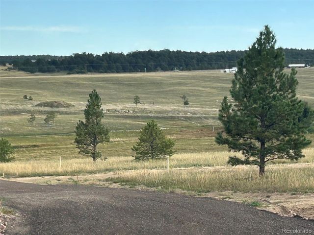 18831 Cherry Springs Ranch Drive, Monument, CO 80132