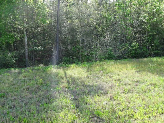 10774 Ruger Road, Willis, TX 77378
