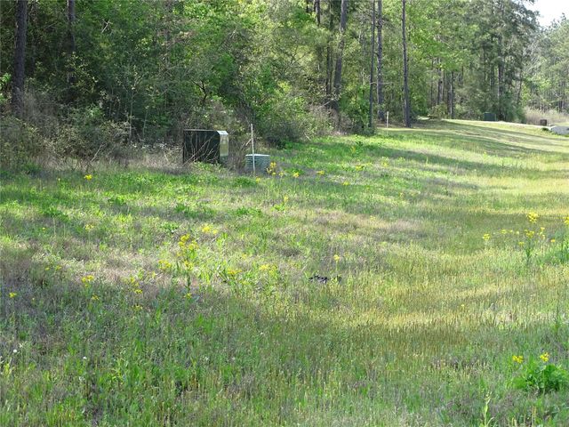10774 Ruger Road, Willis, TX 77378
