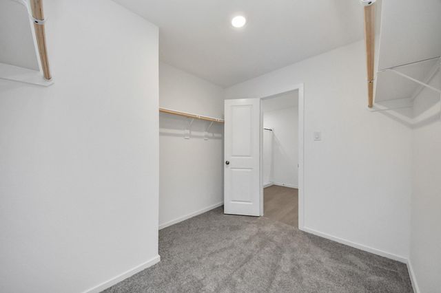 2523 Night Emerald Drive, Rosharon, TX 77583