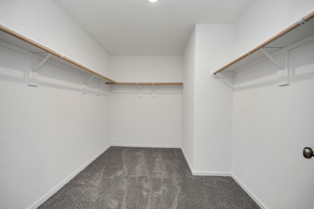 2523 Night Emerald Drive, Rosharon, TX 77583