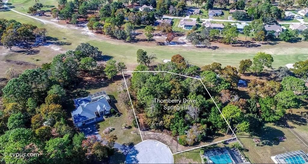 10315 THORNBERRY DRIVE, Spring Hill, FL 34608