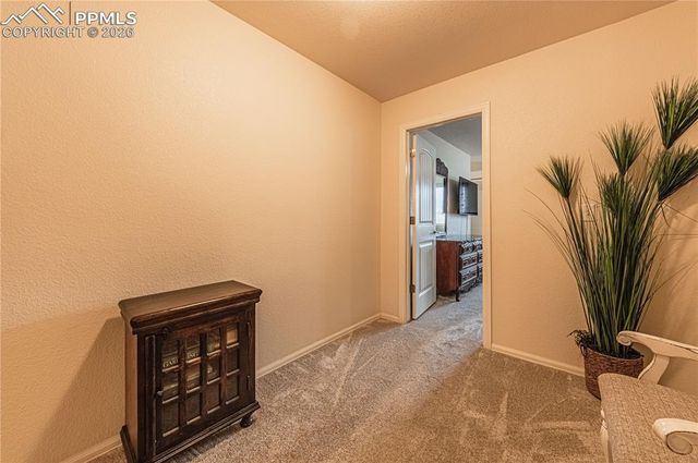 2115 St Claire Park Alley, Colorado Springs, CO 80910