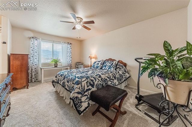 2115 St Claire Park Alley, Colorado Springs, CO 80910