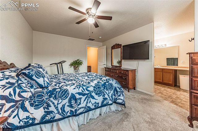 2115 St Claire Park Alley, Colorado Springs, CO 80910