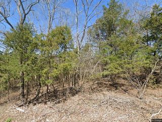 5 Suntop Lane, Holiday Island, AR 72631
