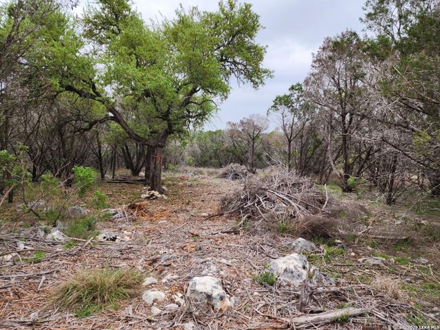 1745 Moon View, New Braunfels, TX 78132