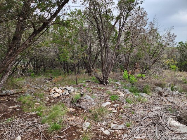 1745 Moon View, New Braunfels, TX 78132