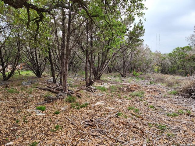 1745 Moon View, New Braunfels, TX 78132