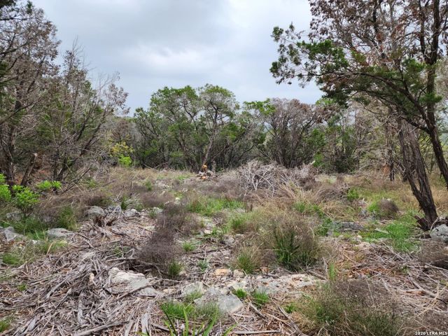 1745 Moon View, New Braunfels, TX 78132